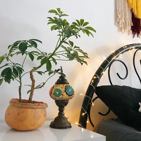 아파트 Marina House 페티예